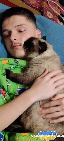 Я люблю котов  и люблю поесть яйца . 
Люблю также заниматься спортом 
Занимаюсь атлетизмом . 