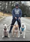 Just so you know right away — those pit bulls aren’t mine. ???? I have a Chihuahua